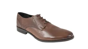 Dubarry Drago 4875 Brown