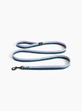 Flat Leash Green/Lavender