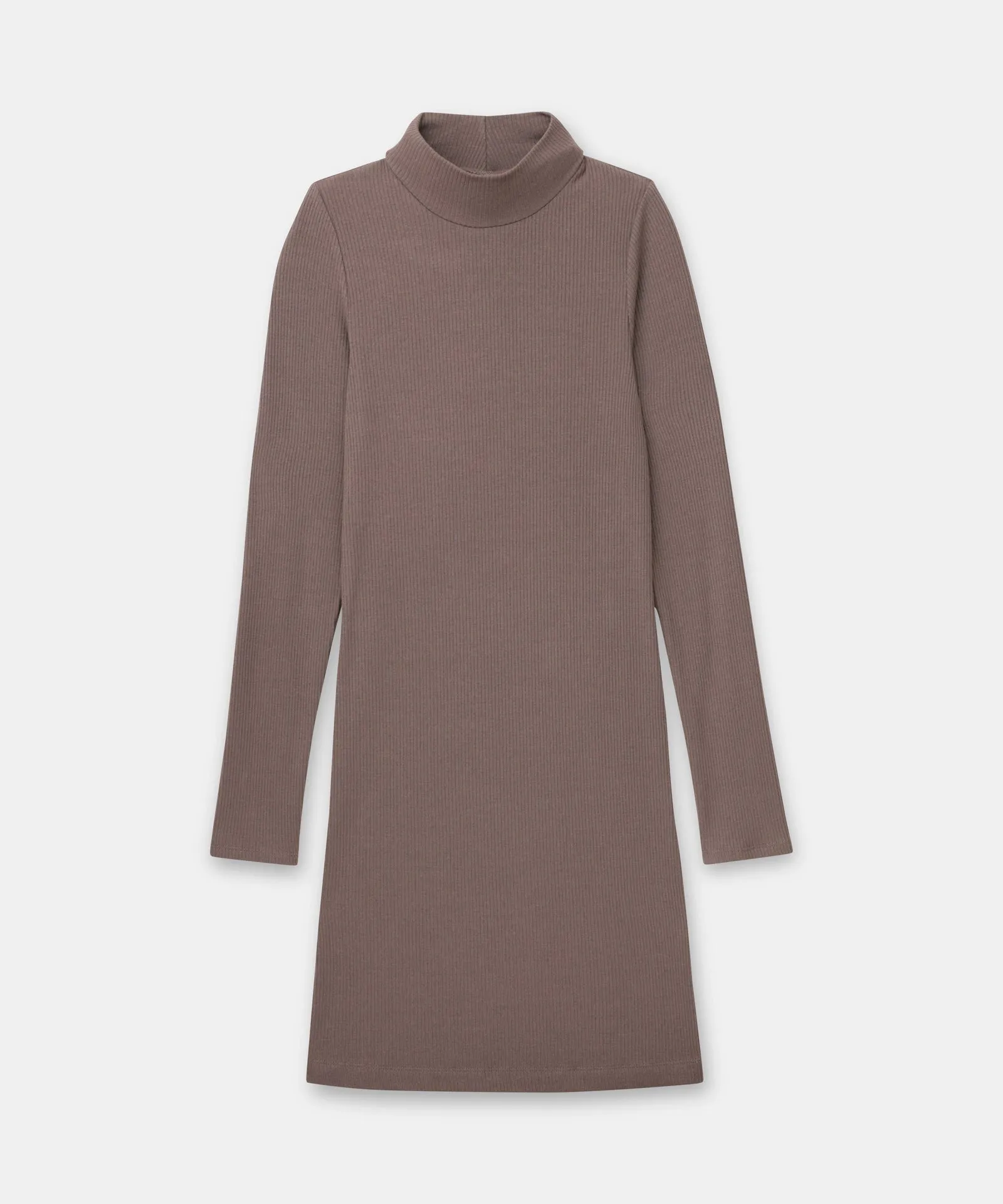 Ribbed Modal Cashmere Turtleneck Mini Dress