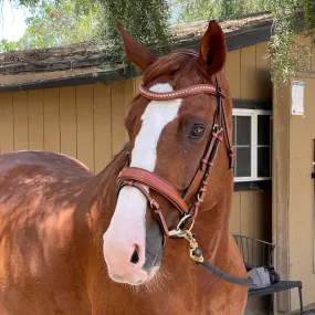 Savannah - Brown Leather Snaffle