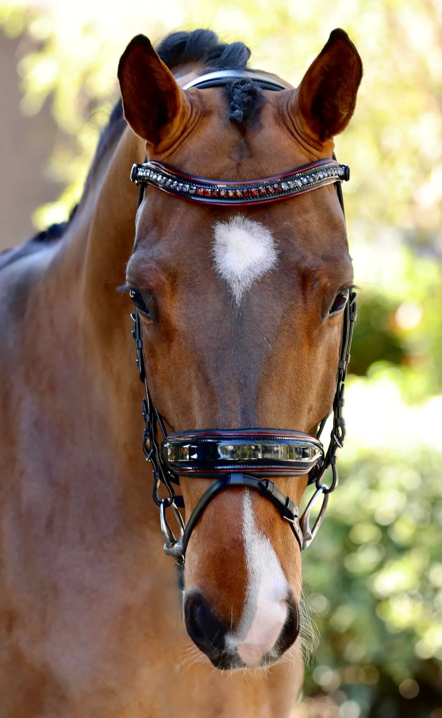 The Hayworth - Black Patent Snaffle with Burgundy Patent Piping & Removable Flash