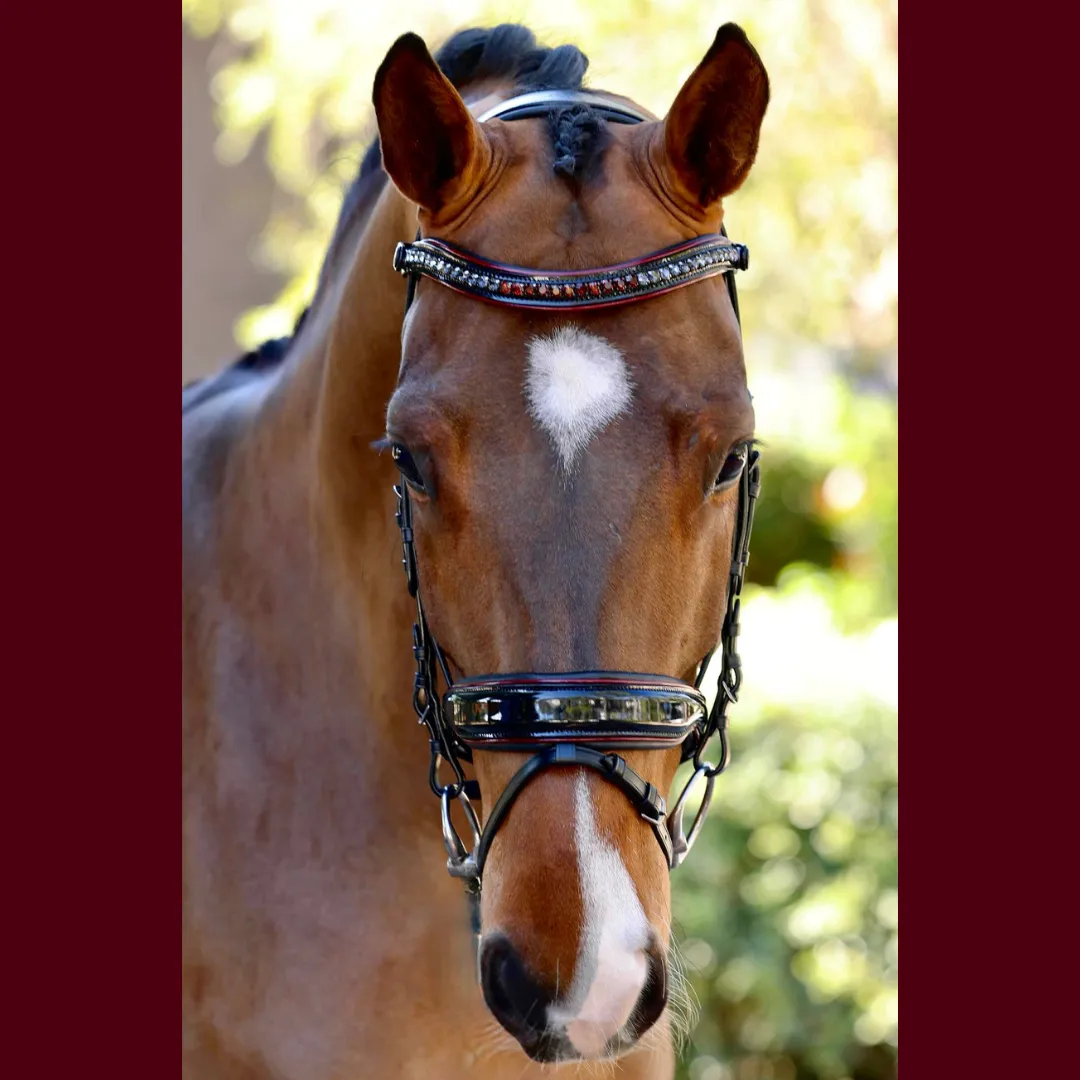 The Hayworth - Black Patent Snaffle with Burgundy Patent Piping & Removable Flash